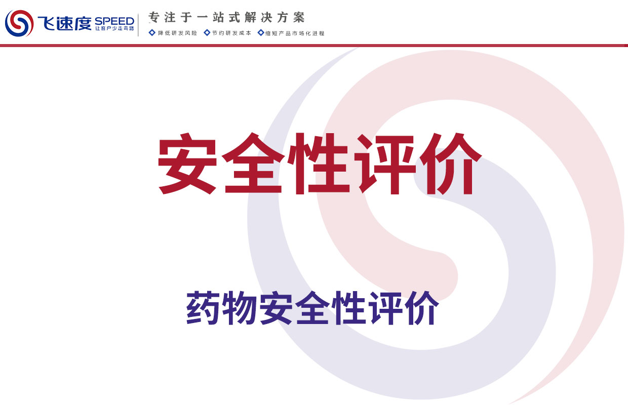 安全性评价