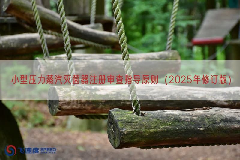 小型压力蒸汽灭菌器注册审查指导原则（20